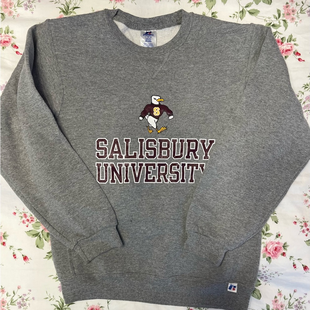 Salisbury University